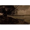 CPA Radolfzell am Bodensee, rive arborée et barque au bord du lac de Constance, correspondance datée 1915