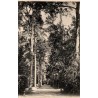CPA ancienne représentant une longue allée boisée bordée de grands arbres et de bancs