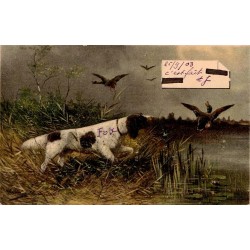 CPA chasse au canard avec chien de chasse dans les roseaux, carte ancienne circulée en 1903