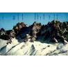 CPSM Aiguilles de Chamonix avec identification des sommets du massif du Mont-Blanc