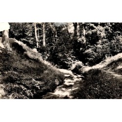 CPSM Divonne-les-Bains Ain, la Divonne près de sa source dans un paysage boisé
