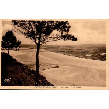 CPA Sainte-Anne-la-Palud la Grève, paysage côtier du Finistère entre les pins