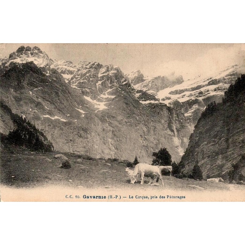 CPA Gavarnie Cirque pris des pâturages avec bovins et Grande Cascade Hautes-Pyrénées