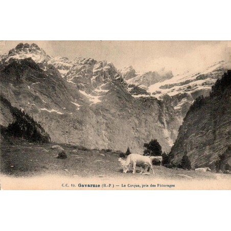 CPA Gavarnie Cirque pris des pâturages avec bovins et Grande Cascade Hautes-Pyrénées
