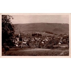 CPSM Niederbronn-les-Bains vue générale ville et Vosges du Nord