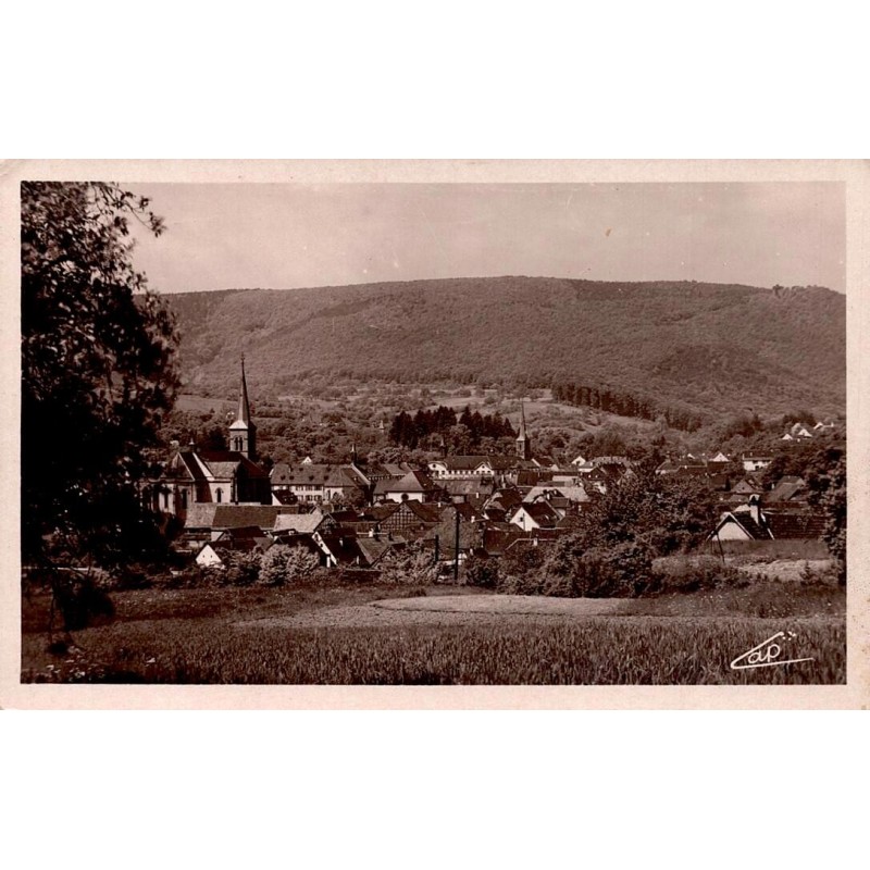 CPSM Niederbronn-les-Bains vue générale ville et Vosges du Nord