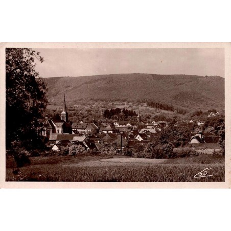 CPSM Niederbronn-les-Bains vue générale ville et Vosges du Nord