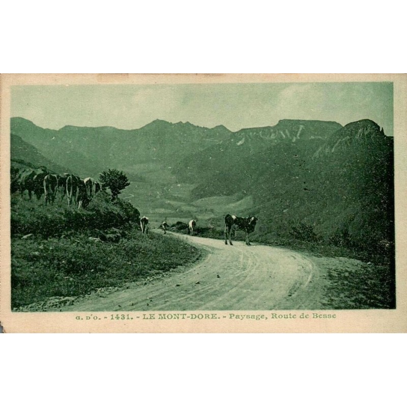 CPA Le Mont-Dore route de Besse avec troupeau de bovins dans le massif du Sancy