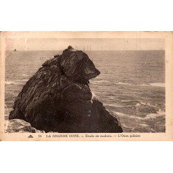 CPSM Le Pouliguen Grande Côte rocher de l’Ours polaire n°15 circulée en 1937