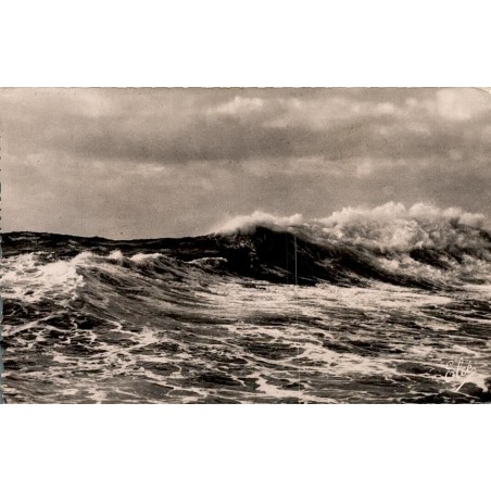 CPSM Île d’Oléron grosse vague à l’Océan L. Chatagneau n°4917