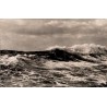CPSM Île d’Oléron grosse vague à l’Océan L. Chatagneau n°4917