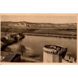 CPSM Avignon rive droite du Rhône, remparts et pont Saint-Bénézet