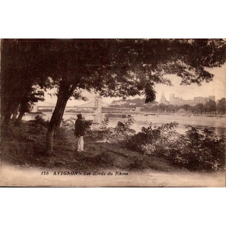 CPA Avignon les bords du Rhône avec vue ancienne sur la cité
