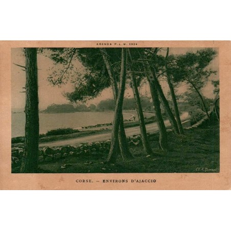 CPSM Ajaccio Corse environs route littorale et pins Agenda P.L.M. 1924
