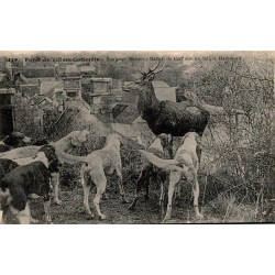 CPA Haramont Équipage Menier hallali de cerf sur un toit forêt de Villers-Cotterêts