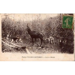 CPA Villers-Cotterêts cerf à l’hallali avec meute en forêt et timbre 5 centimes