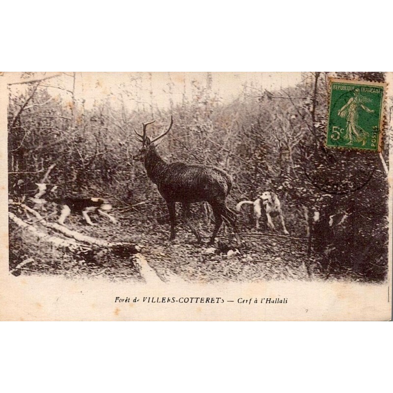 CPA Villers-Cotterêts cerf à l’hallali avec meute en forêt et timbre 5 centimes