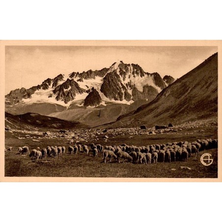 CPSM Montagne des Agneaux Hautes-Alpes avec troupeau de moutons dans les alpages