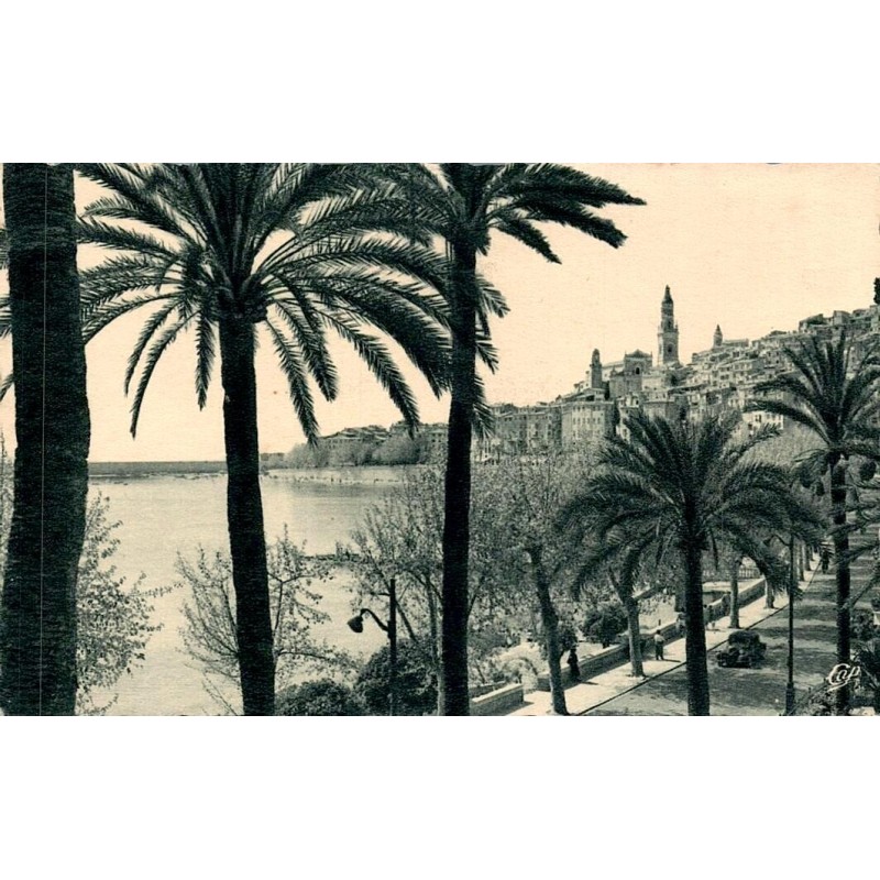 CPSM Menton vieille ville front de mer et promenade bordée de palmiers