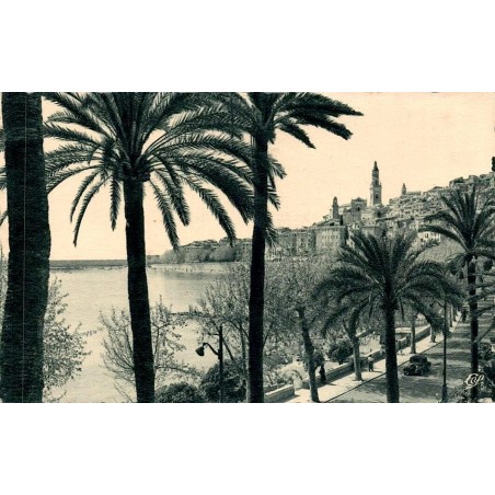 CPSM Menton vieille ville front de mer et promenade bordée de palmiers