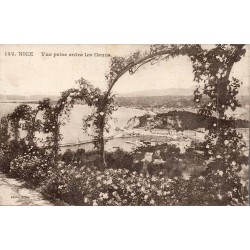 CPA Nice vue entre les fleurs sur le port et la baie datée 1919
