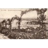 CPA Nice vue entre les fleurs sur le port et la baie datée 1919