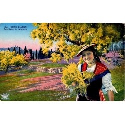 CPSM Côte d’Azur cueillette du mimosa, femme en costume traditionnel, 1941