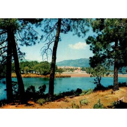 CPSM Porto-Vecchio Corse vue du golfe, pinède et ville en arrière-plan