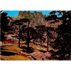CPSM Bavella Corse forêt et reliefs rocheux aux environs du col en 1976