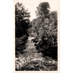 CPSM Corrèze gorges de la Corrèze et rivière boisée, carte circulée en 1954