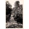 CPSM Corrèze gorges de la Corrèze et rivière boisée, carte circulée en 1954