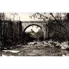 CPSM Treignac Pont Finot sur la Vézère, vue photographique par Michel