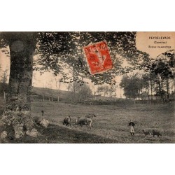 CPA Peyrelevade scène champêtre avec bovins et jeune bergère en Corrèze
