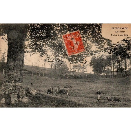 CPA Peyrelevade scène champêtre avec bovins et jeune bergère en Corrèze
