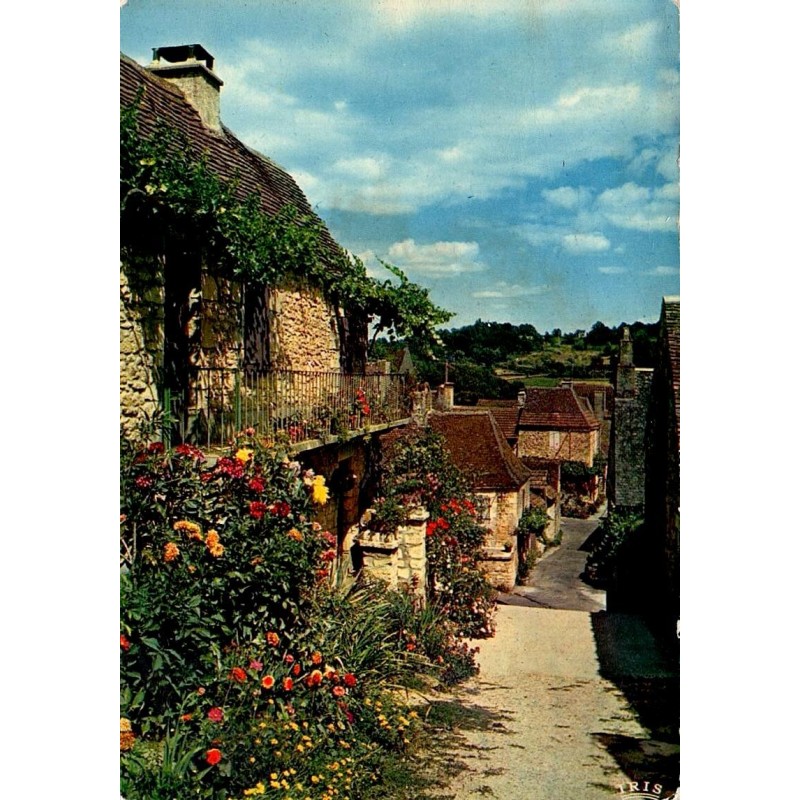CPM Domme vieilles rues et maisons fleuries en Dordogne, carte circulée en 1977
