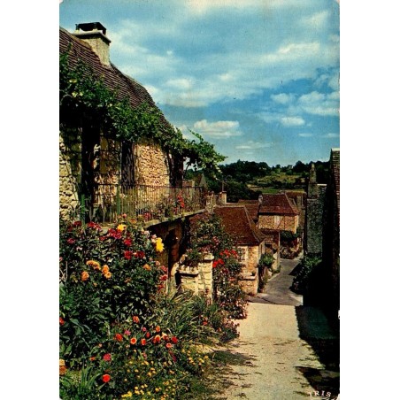 CPM Domme vieilles rues et maisons fleuries en Dordogne, carte circulée en 1977