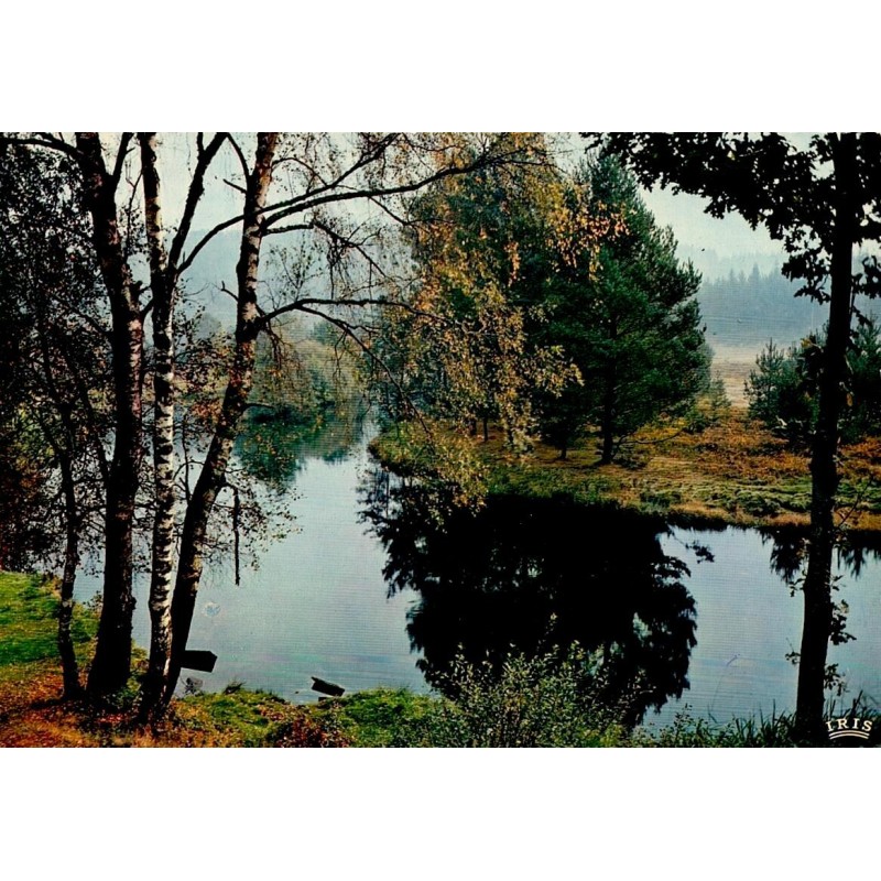 CPSM Corrèze matin d’automne sur la Vézère paysage boisé et reflets sur la rivière