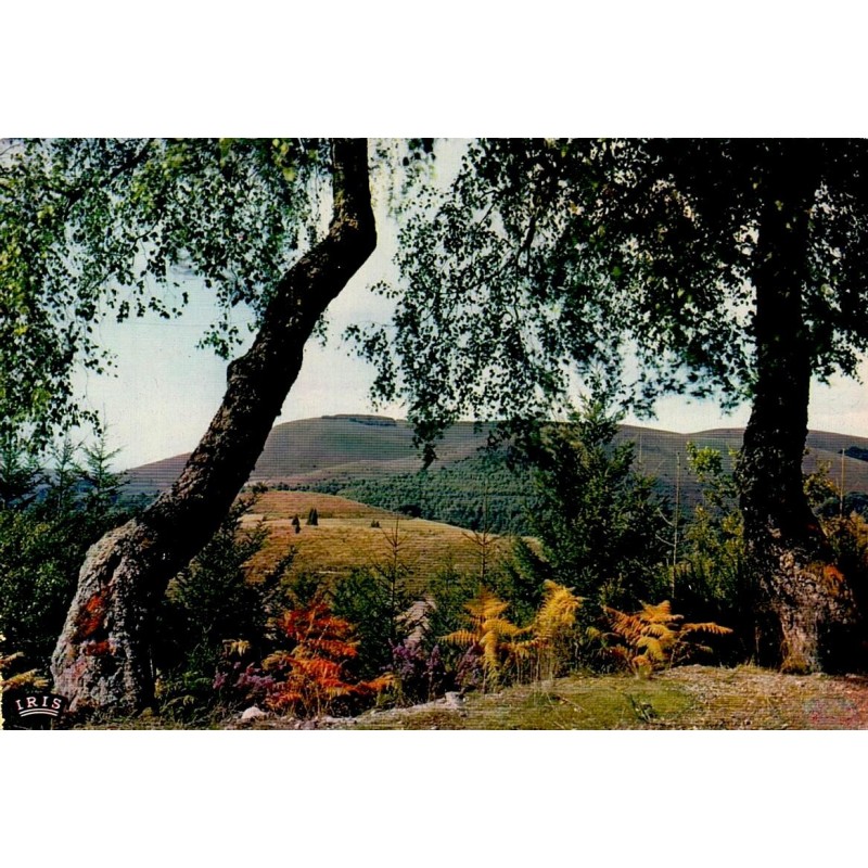 CPSM Corrèze Les Monédières paysage boisé et reliefs du Limousin