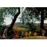 CPSM Corrèze Les Monédières paysage boisé et reliefs du Limousin