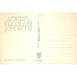 CPSM Corrèze – Étang de Ruffaud – Le Limousin Pittoresque