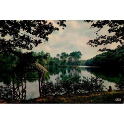 CPSM Corrèze étang de Ruffaud paysage boisé et reflets sur l’eau