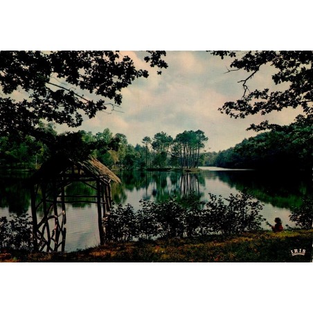 CPSM Corrèze étang de Ruffaud paysage boisé et reflets sur l’eau
