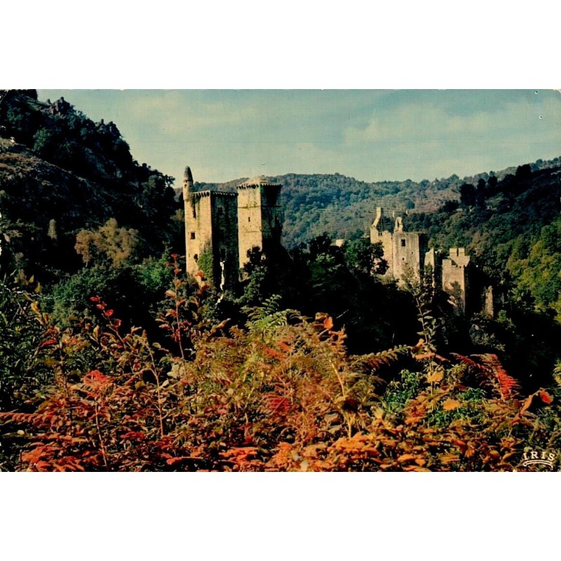 CPSM Corrèze ruines de Merle citadelle médiévale XIIe et XIIIe siècles
