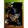 CPM Gimel-les-Cascades – Cascades de la Montane – Corrèze