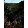 CPSM Lapleau viaduc des Rochers Noirs dans les gorges boisées de la Luzège en Corrèze