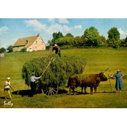 CPSM Bort-les-Orgues Le Temps des Foins, charrette et attelage de bovins en Corrèze