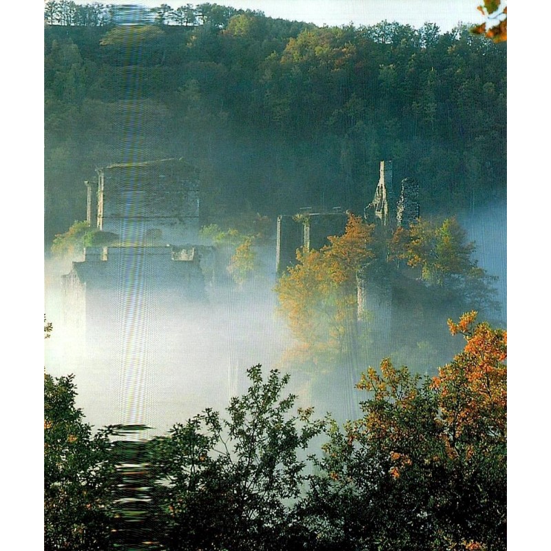 CPM Saint-Geniez-ô-Merle, Tours de Merle dans la brume et forêt d'automne en Corrèze