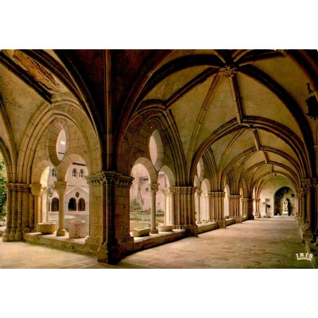 CPSM Tulle cloître du XIIIe siècle, galerie gothique et arcades en Corrèze