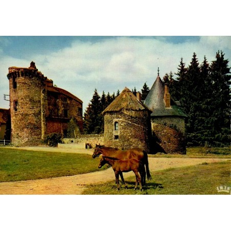 CPSM Pompadour Domaine de la Rivière avec jument et poulain, Corrèze