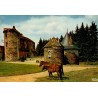 CPSM Pompadour Domaine de la Rivière avec jument et poulain, Corrèze